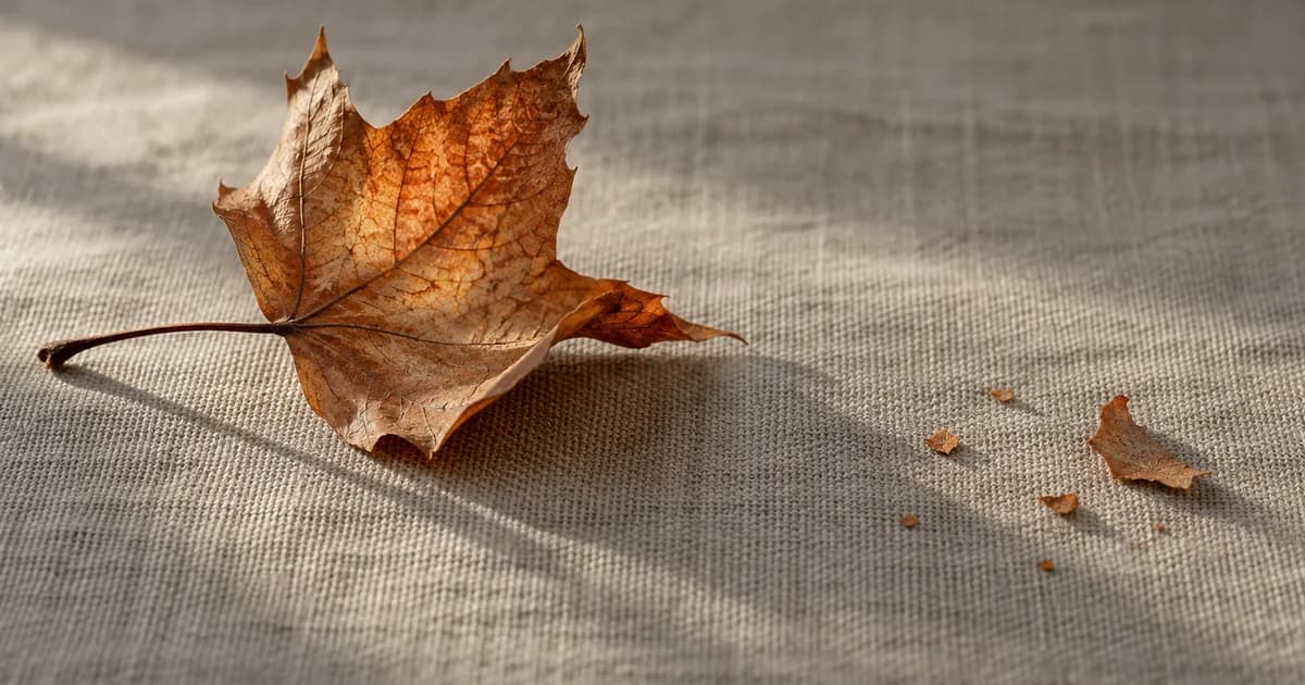 A curled dry leaf with a few fragments on linen